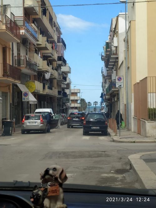 Foto di Mon Chéri