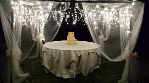 Foto di Yummy Cake
