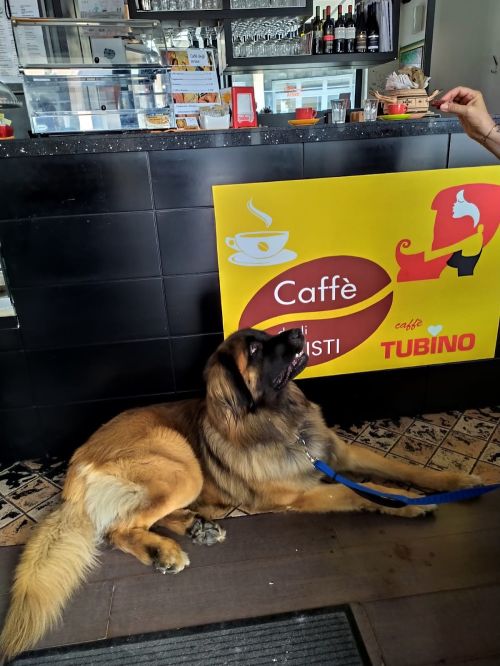 Foto di Caffè degli Artisti