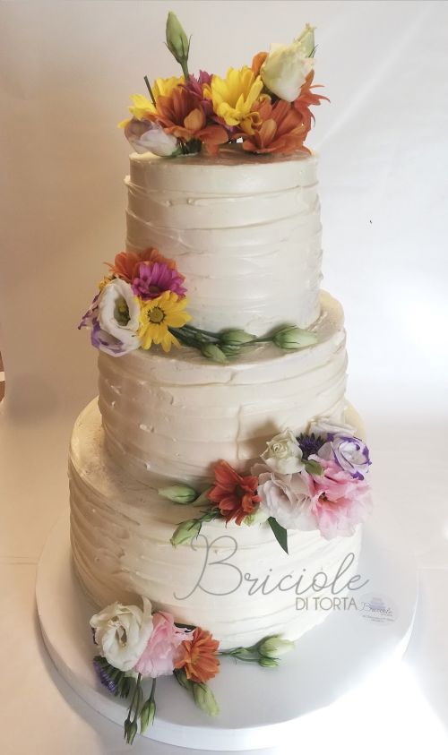 Foto di BRICIOLE DI TORTA di CHECCACCI MARIA SILVIA