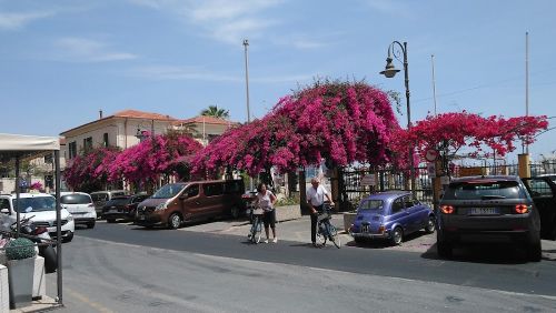 Foto di Bar Fiori
