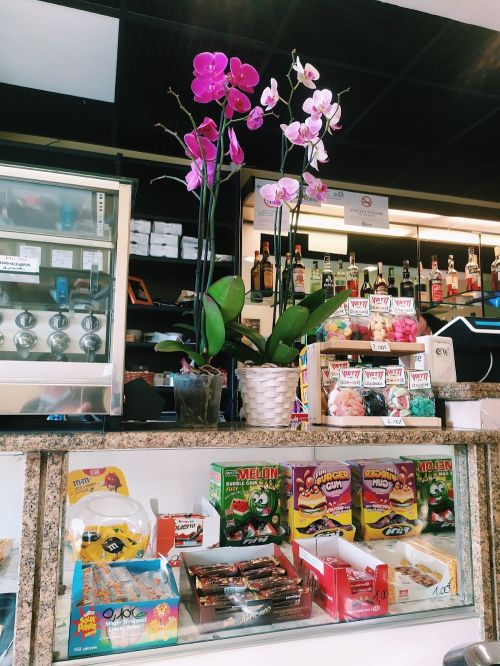 Foto di Bar il Mugugno