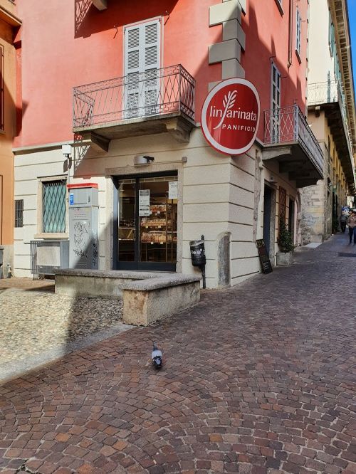 Foto di Panificio Linfarinata
