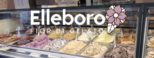 Foto di Elleboro Fior Di Gelato
