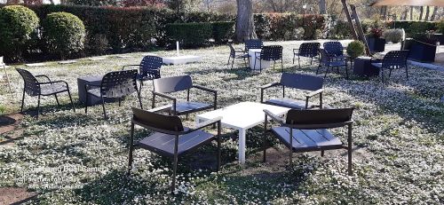 Foto di Michele & Co. Ristorante - Pasticceria - Pizzeria - Catering