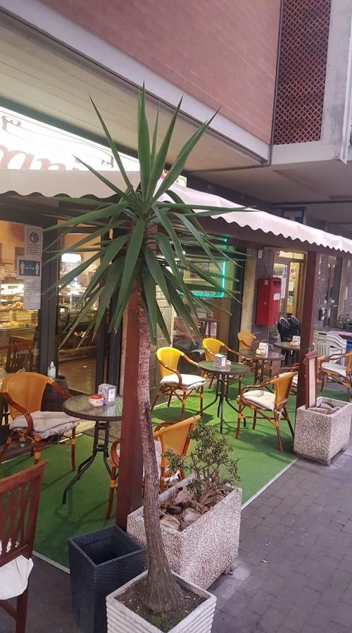 Foto di Pasticceria Urania