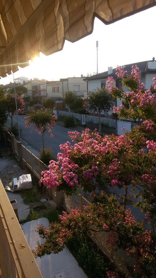 Foto di Pietro Venier