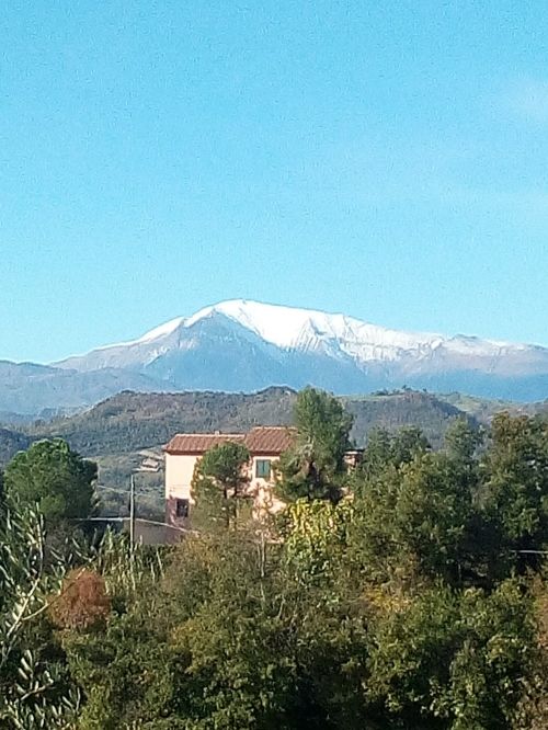 Foto di Forno Fazzini