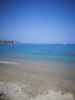 Immagine profilo dell'utente