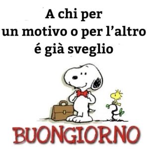 Immagine profilo dell'utente